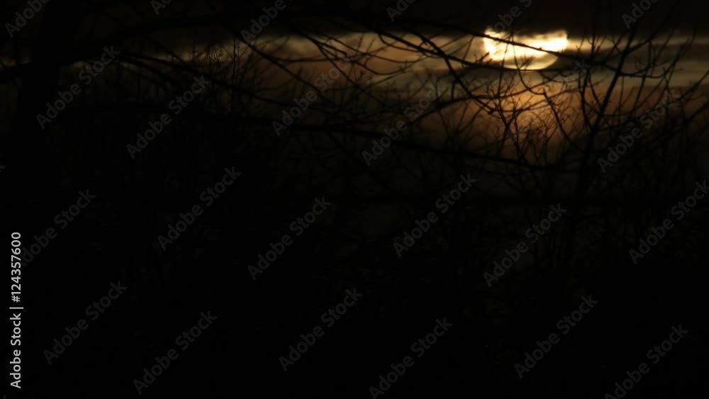 Bright red moon rises up timelapse. Bright red moon rises up timelapse.