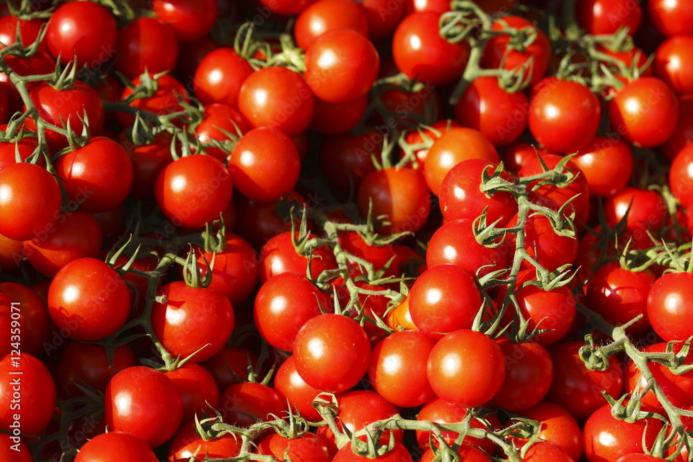 Frische Aromatomaten Frische Aromatomaten