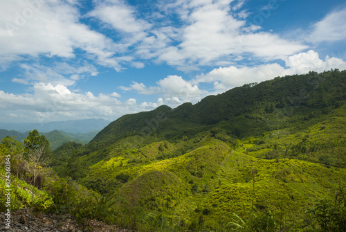 Enigmatic and mysterious forests of Central America. Guatemala