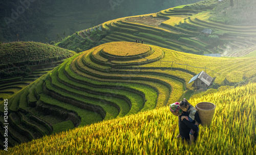 Mother and Dauther Hmong, working at rice terraces, Mu cang chai,Vietnam photo