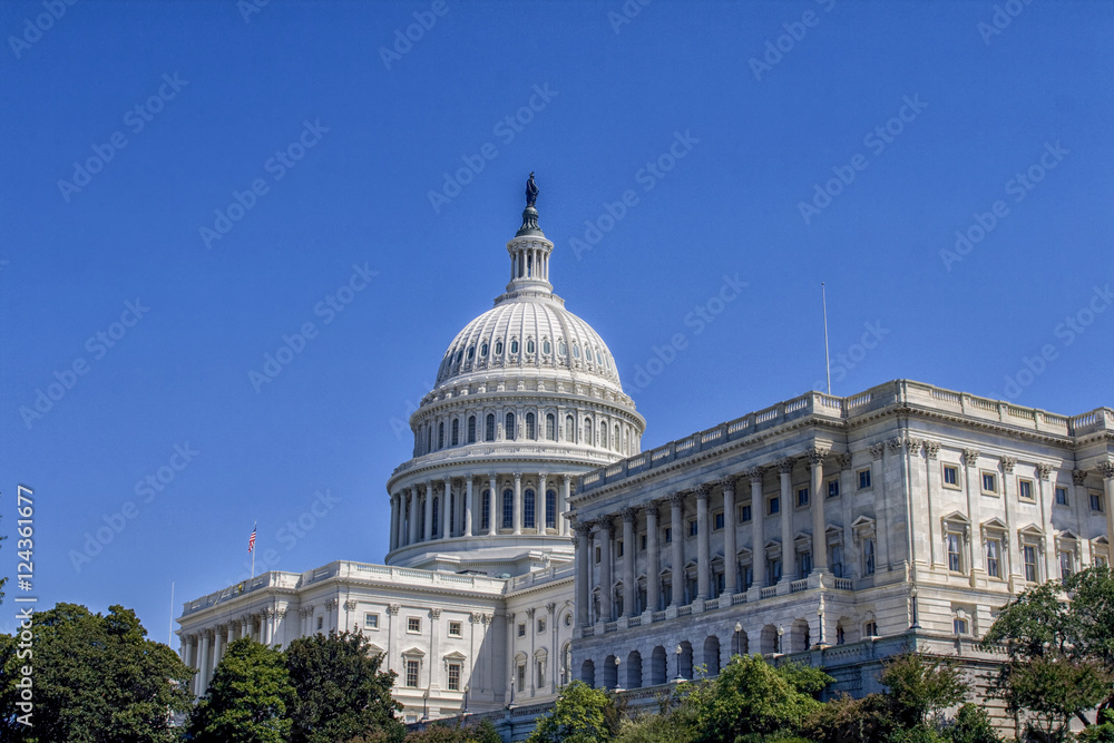 Obraz premium Capitol in Washington DC