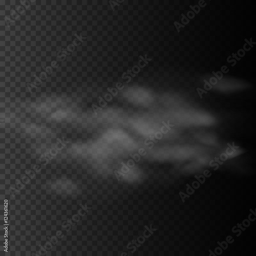 Smoke or fog on transparent background. Vector special effects