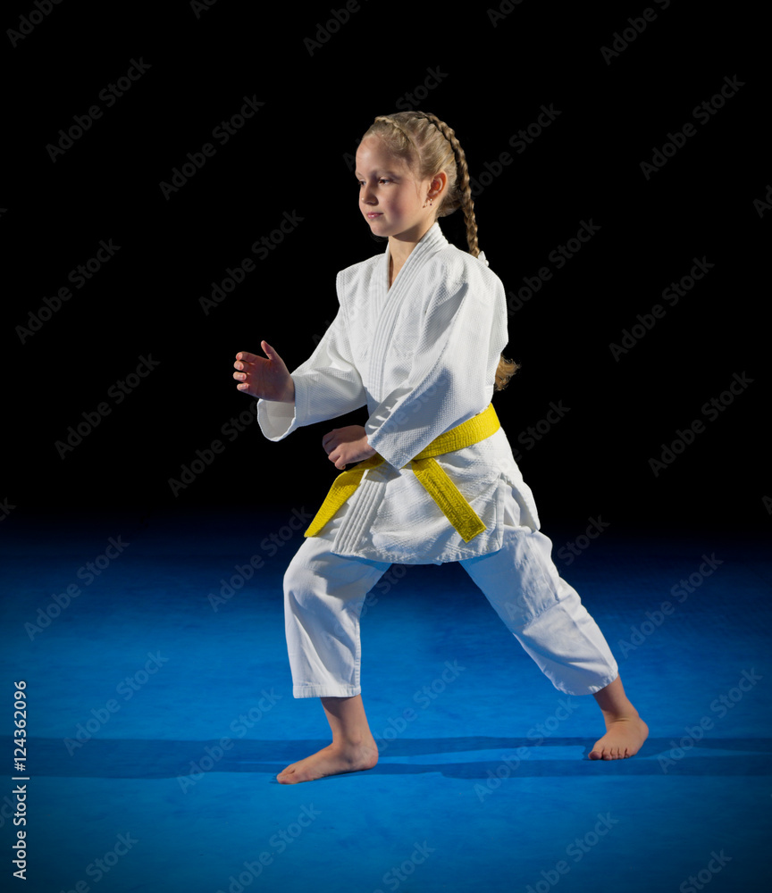 Girl martial arts fighter Girl martial arts fighter