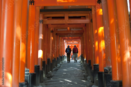 torii gates walk photo