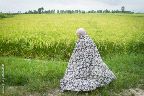 Bild auf Leinwand Beautiful happy Muslim woman in green field