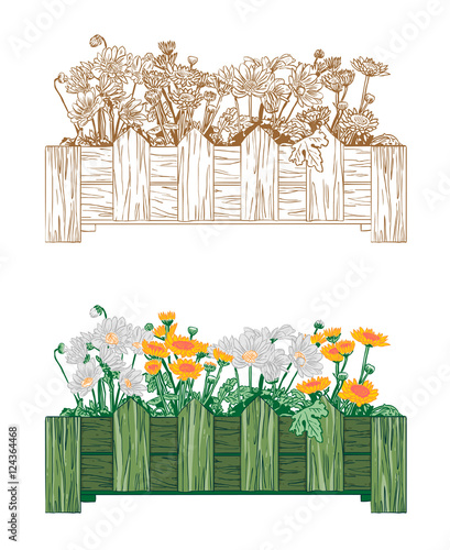 Flowers in a wooden box. Drawn by hand. Green color box. Chamomile flowers. The composition of colors. Separate object. Vector Image. All elements on layers. It can be used in advertising and design.