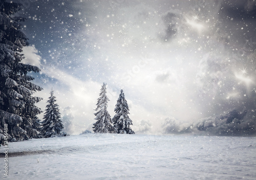  Christmas background with snowy fir trees © Melinda Nagy