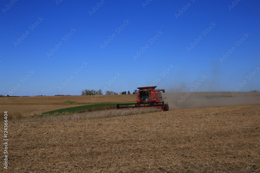 Obraz premium Soybean Harvest - Combine