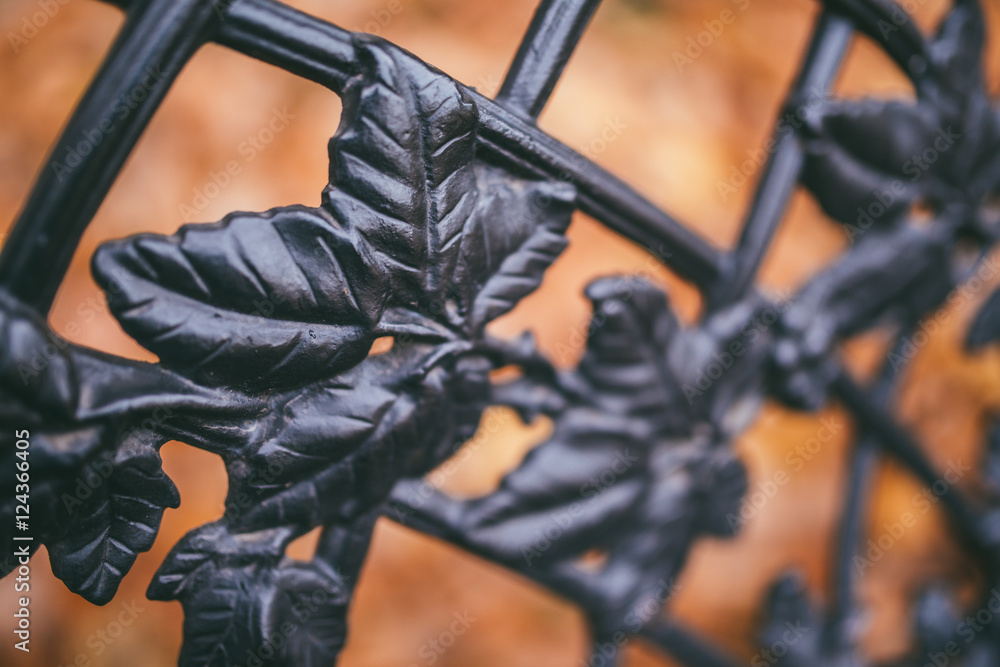 Fototapeta premium Image of a decorative cast iron fence and autumn orange leaves as background