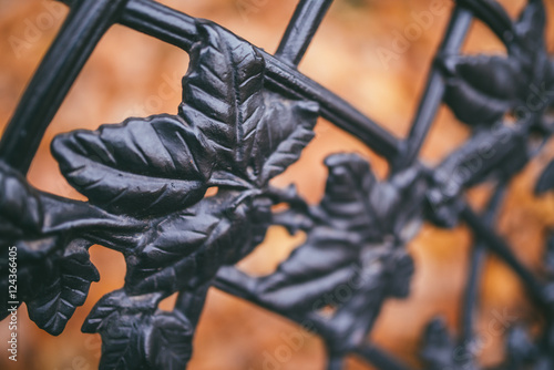 Image of a decorative cast iron fence and autumn orange leaves as background