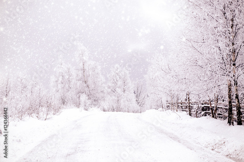  Christmas background with snowy fir trees © Melinda Nagy