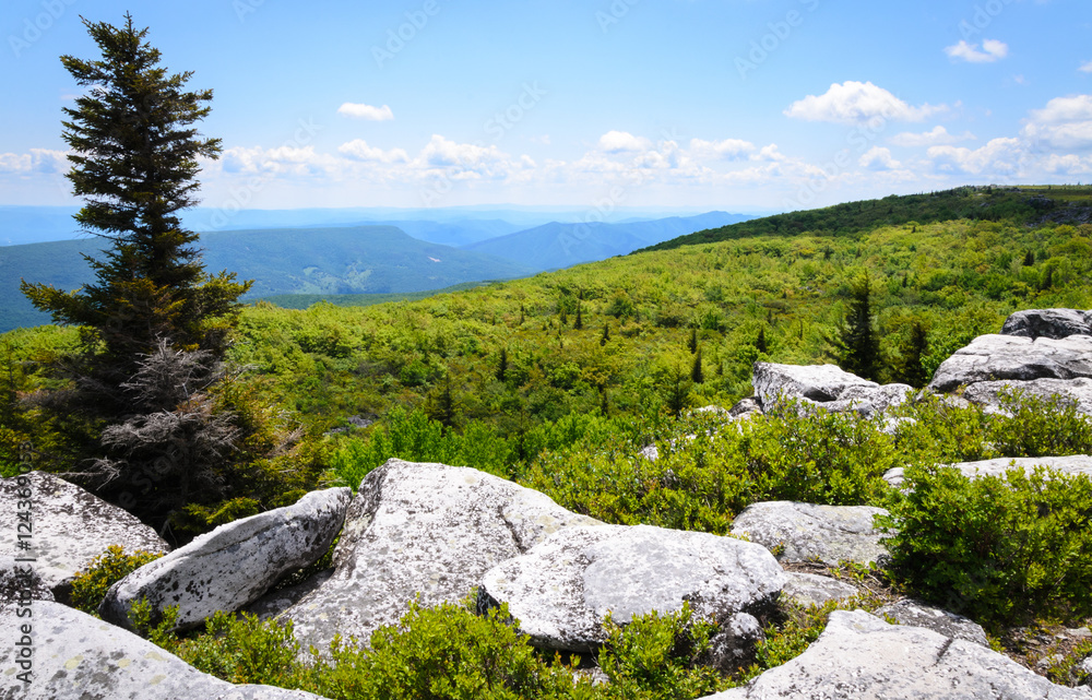 Fototapeta premium Bear Rocks Preserve