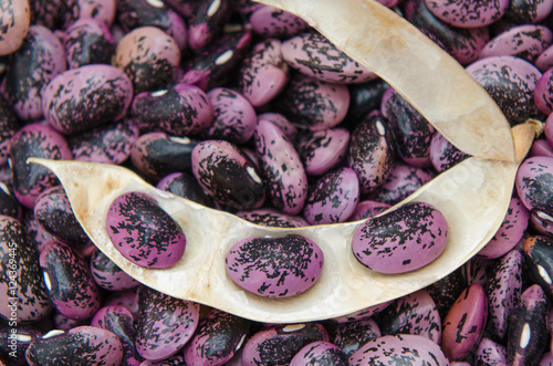 Foto Styrian scarlet runner beans