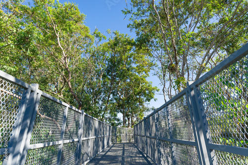 The Canopy Walkway at Queen Sirikit Botanic garden, a popular ne
