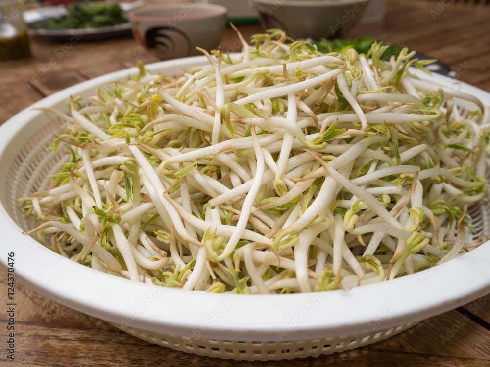 Sun exposed green bean sprouts in plastic tray on dining table Sun exposed green bean sprouts in plastic tray on dining table