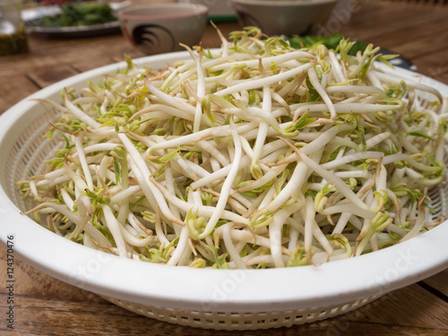 Sun exposed green bean sprouts in plastic tray on dining table photo