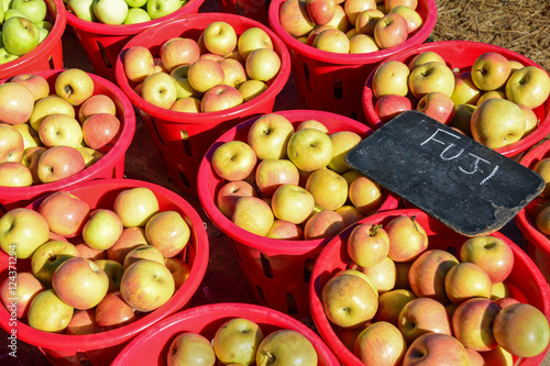 Fototapeta Naklejka Na Ścianę i Meble -  Apples at the Farmer Market