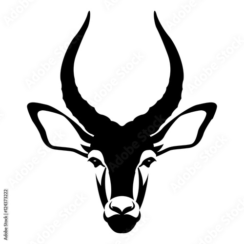 impala buck head face vector illustration style Flat