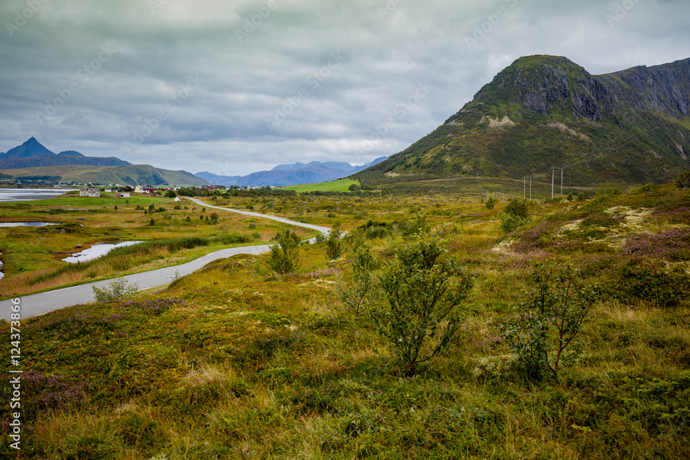 Road along fjorde. Nature of Norway