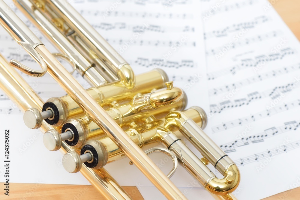 Fototapeta premium Trompete