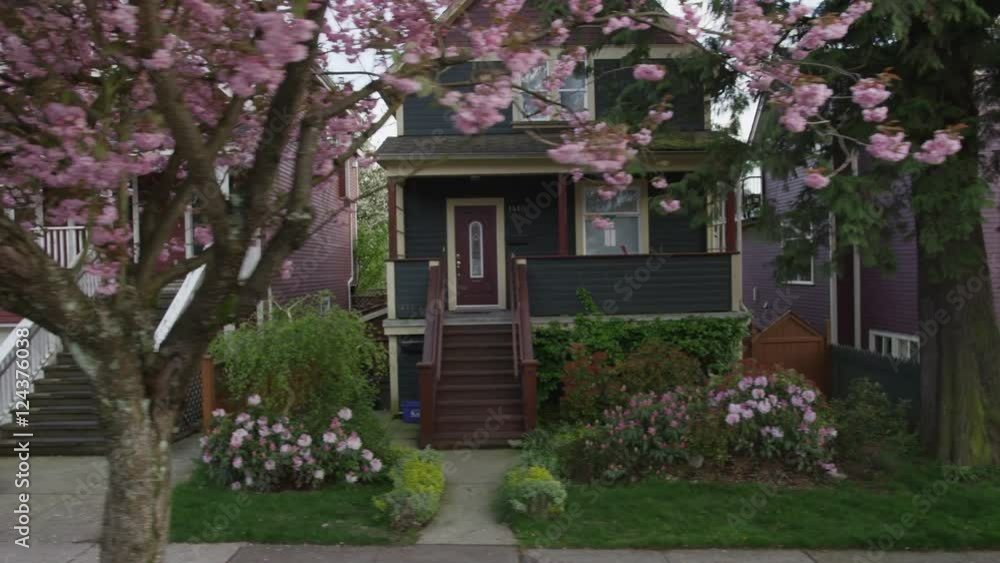 Dolly shot of residential street in spring with cherry blossoms, houses, and fences. Dolly shot of residential street in spring with cherry blossoms, houses, and fences.