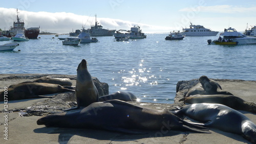 Ecuador, Galapagos, Santa Cruz Island
