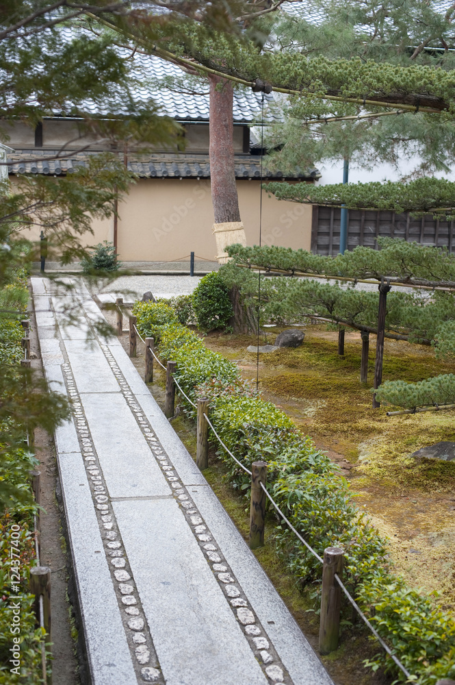 Fototapeta premium Daisen-in footpath