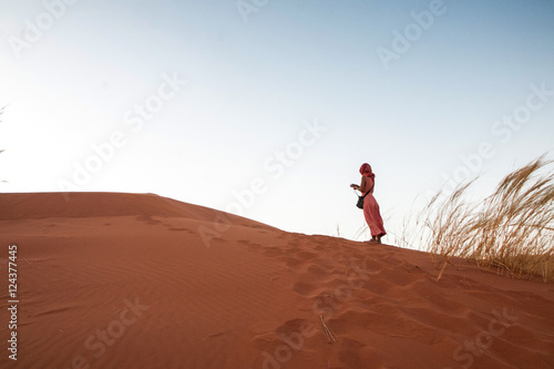  namibian desert