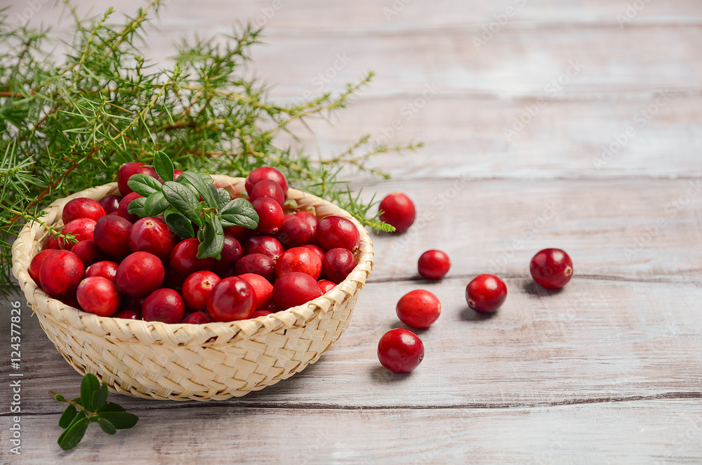 Harvest fresh red cranberries in wicker basket, selective focus, copy space Harvest fresh red cranberries in wicker basket, selective focus, copy space
