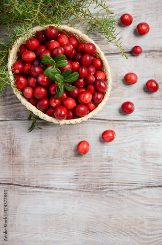 Harvest fresh red cranberries in wicker basket, top view, copy space