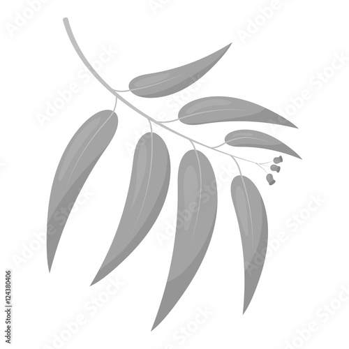 Eucalyptus vector icon in monochrome style for web