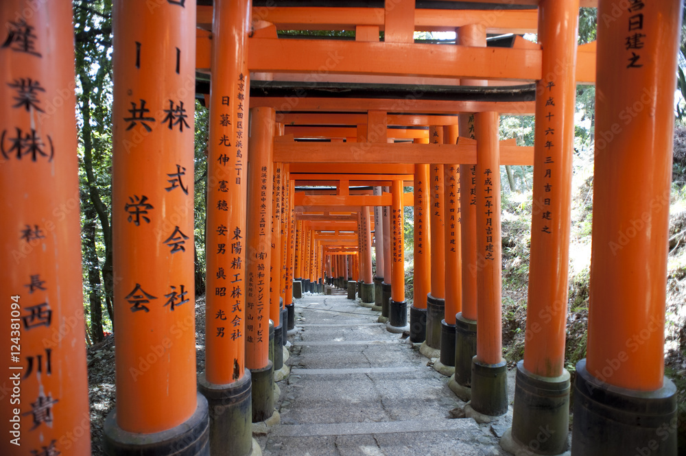 torii shrine tunnel
