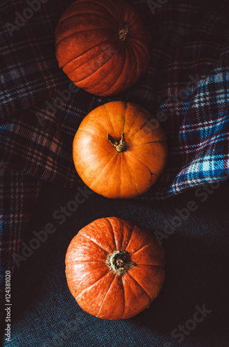 Autumn holiday at home. Orange pumpkins group on plaid background. Top view, fall symbol, still life concept. Rustic and nature.