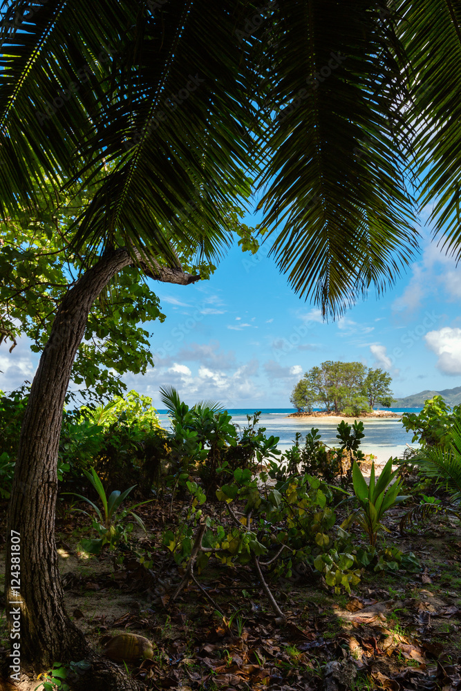 Natural landscape of Seychelles in Mahe island