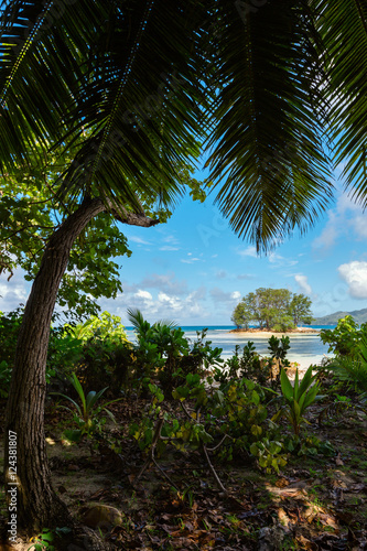 Natural landscape of Seychelles in Mahe island