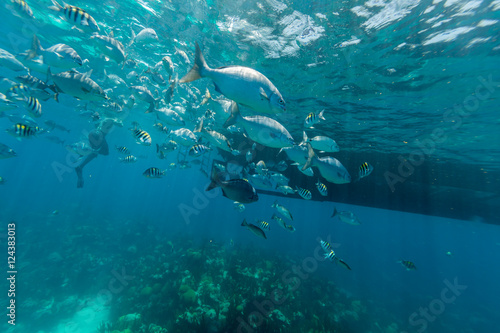 Fototapeta Naklejka Na Ścianę i Meble -  Underwater from Bermuda Island