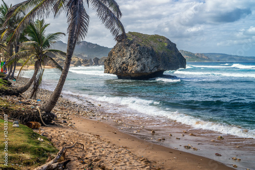 Barbados shoreline