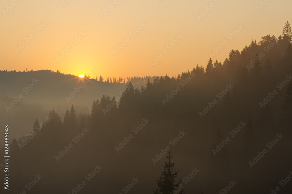 at morning dawn mist over forest in mountains at morning dawn mist over forest in mountains