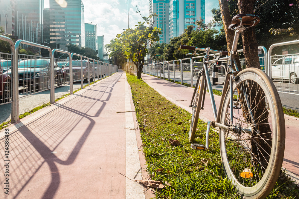 Obraz premium Bike Path in the Streets of Sao Paulo, Brazil (Brasil)