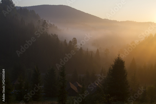 at morning dawn mist over forest in mountains