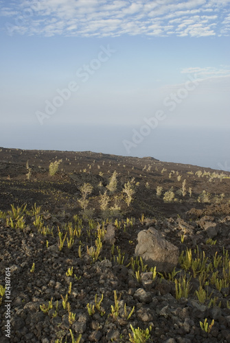 Lava Rock Field photo