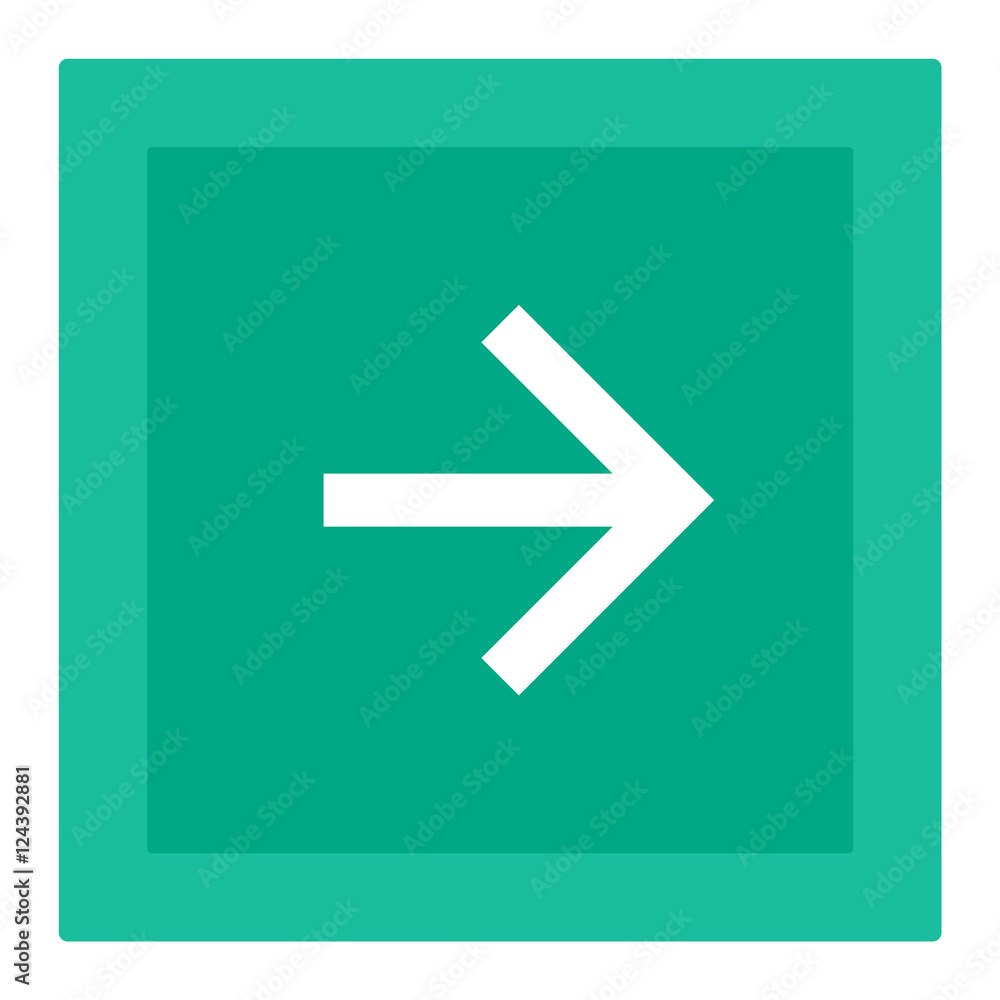 Web button vector icon Web button vector icon