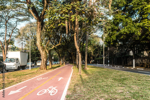 Tableau sur toile Bike Path in the Streets of Sao Paulo, Brazil (Brasil)