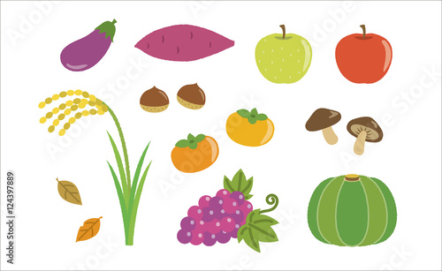 秋の食材　いろいろ