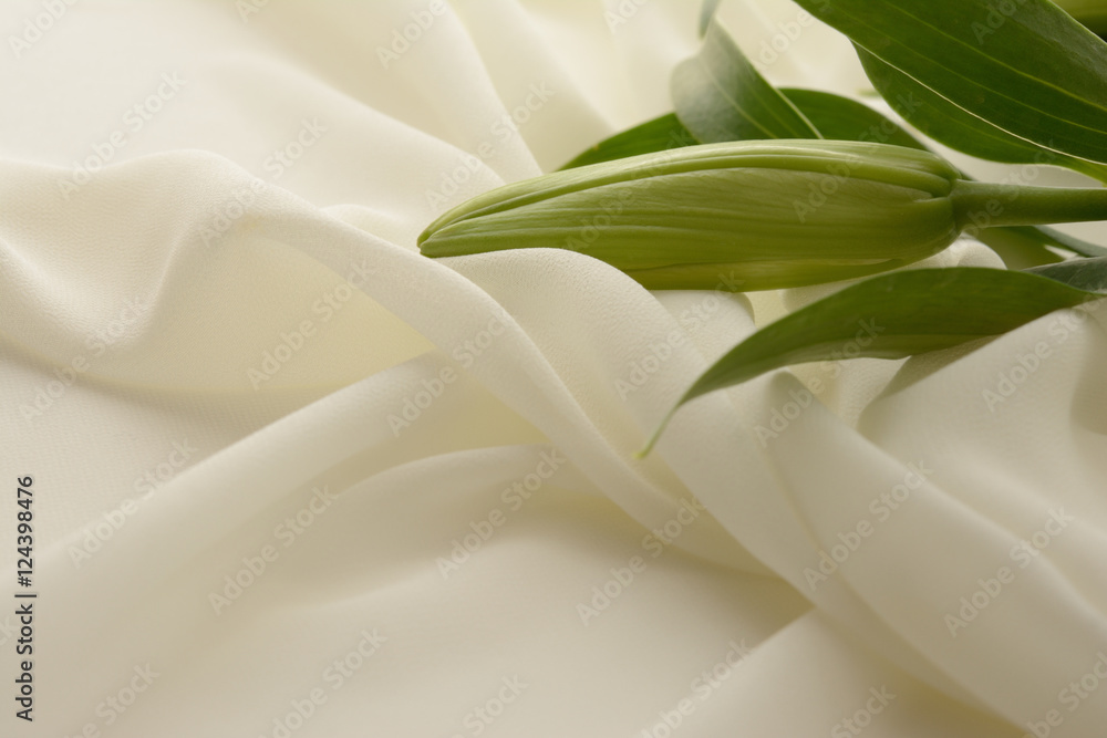 百合の花白布背景stock Photo Adobe Stock 百合の花白布背景stock Photo Adobe Stock