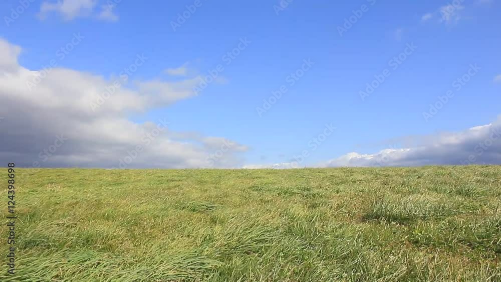 秋の草原に落ちる雲の影