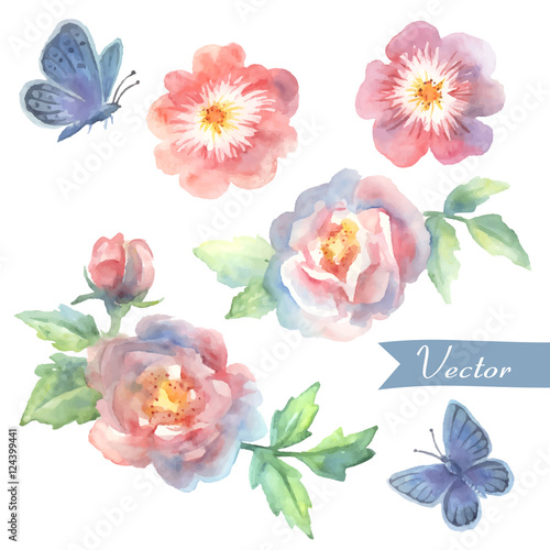 flower vector set