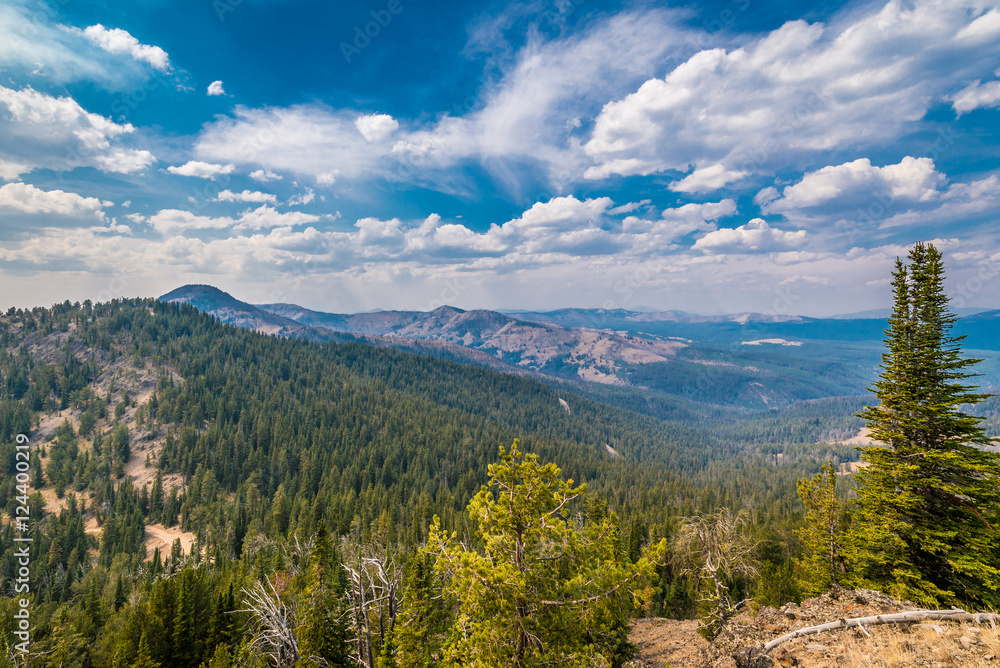 View from Mt. Washburn in Yellowstone National Park