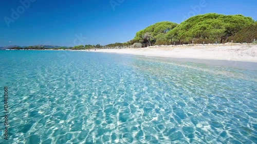 Wallpaper Mural Palomgabbia beach with red rocks, pine trees and azure clear water, Corsica, France.
 Torontodigital.ca