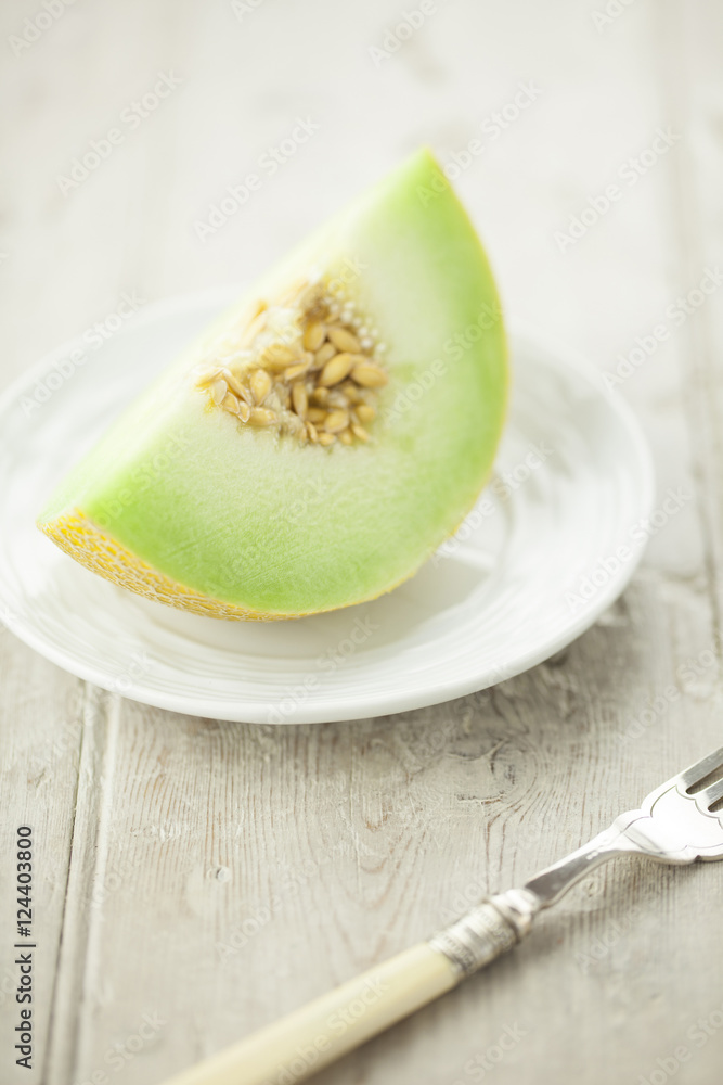 Galia Melon Slice on White Plate Galia Melon Slice on White Plate
